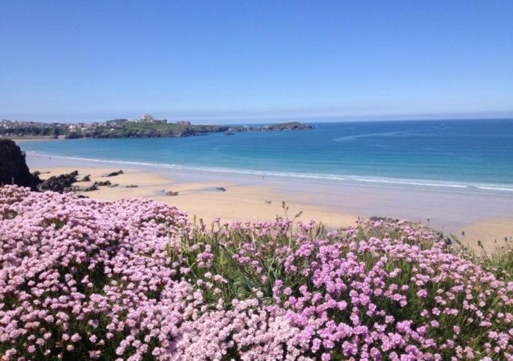 Atlantic Reach Cottages, Newquay 6 Miles, 2 Bedrooms Eksteriør billede