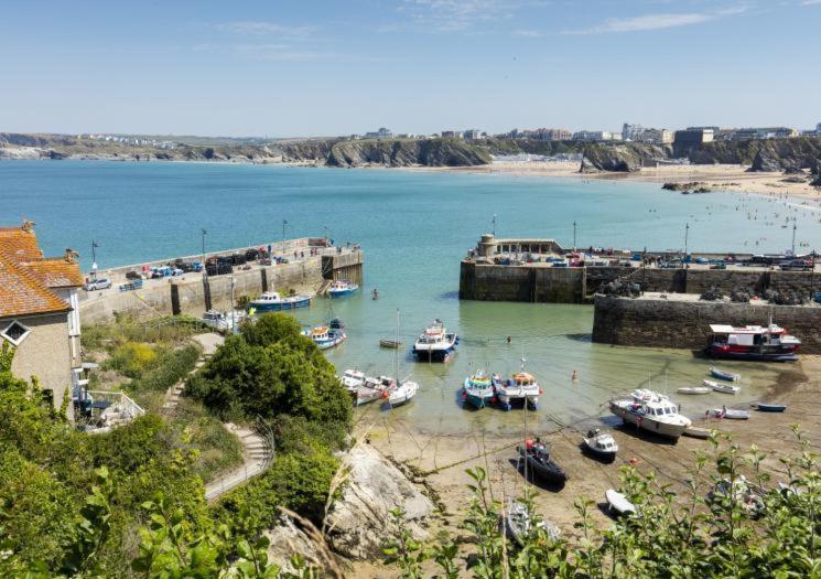 Atlantic Reach Cottages, Newquay 6 Miles, 2 Bedrooms Eksteriør billede